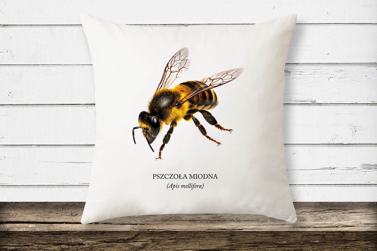 Pszczoła miodna - Apis mellifera - Pszczoła - prezent dla entomologa – Prezent dla pszczelarza – Poduszka z pszczołą – Poduszka