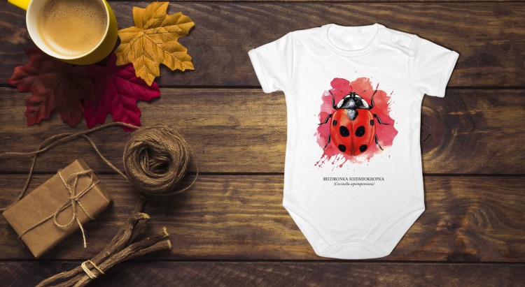 Biedronka siedmiokropka - Coccinella septempunctata - Biedronka - Prezent dla przyrodnika - Prezent dla entomologa - Body z biedronką - Body - Bodziak