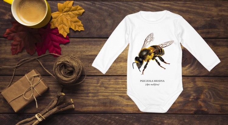 Pszczoła miodna - Apis mellifera - Pszczoła - prezent dla entomologa – Prezent dla pszczelarza – Body z pszczołą – Body - Bodziak