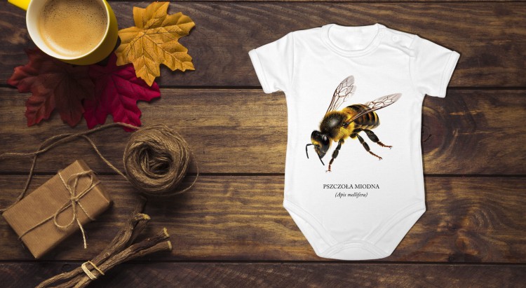 Pszczoła miodna - Apis mellifera - Pszczoła - prezent dla entomologa – Prezent dla pszczelarza – Body z pszczołą – Body - Bodziak
