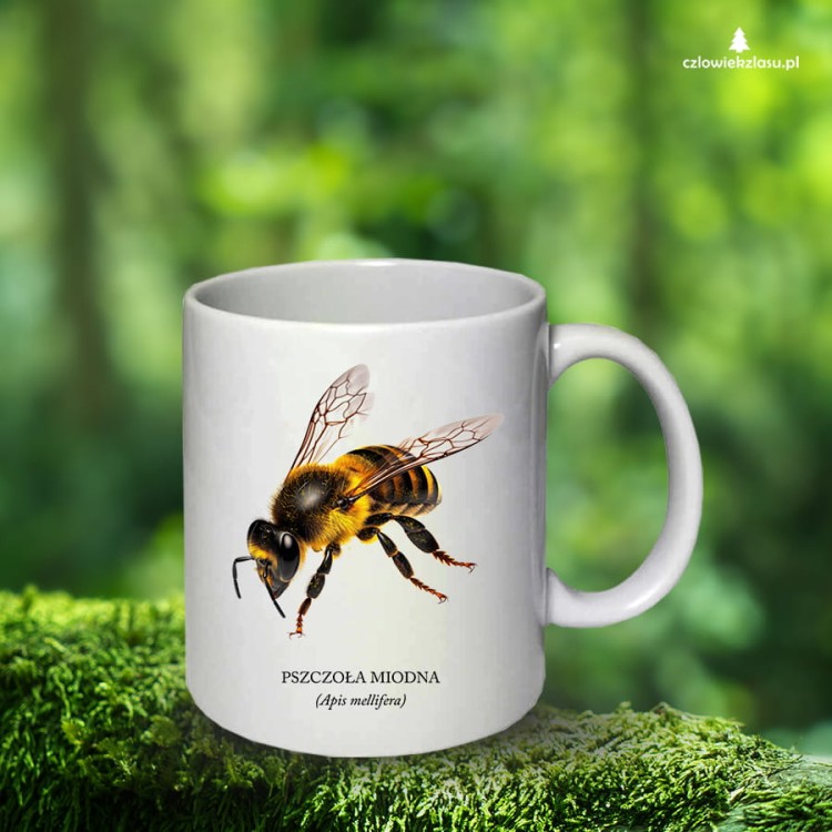 Pszczoła miodna - Apis mellifera - Pszczoła - prezent dla entomologa - Prezent dla pszczelarza - Kubek z pszczołą - Kubek ceramiczny