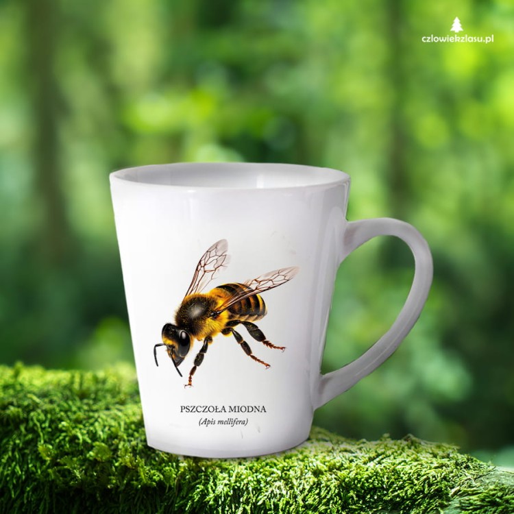 Pszczoła miodna - Apis mellifera - Pszczoła - prezent dla entomologa - Prezent dla pszczelarza - Kubek z pszczołą - Kubek latte