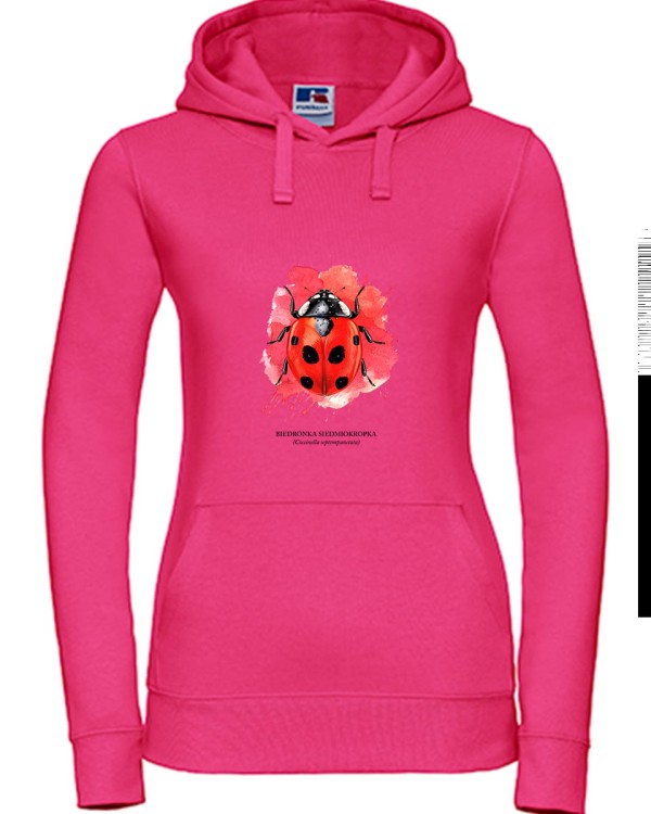 Biedronka siedmiokropka - Coccinella septempunctata - Biedronka - Prezent dla przyrodnika - Prezent dla entomologa - Bluza z biedronką - Bluza