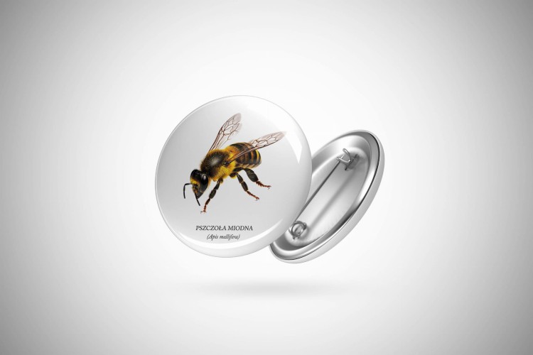 Pszczoła miodna - Apis mellifera - Pszczoła - prezent dla entomologa - Prezent dla pszczelarza - Przypinka