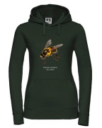 Pszczoła miodna - Apis mellifera - Pszczoła - prezent dla entomologa - Prezent dla pszczelarza - Bluza
