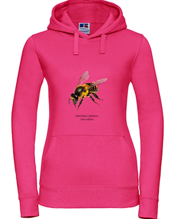 Pszczoła miodna - Apis mellifera - Pszczoła - prezent dla entomologa - Prezent dla pszczelarza - Bluza