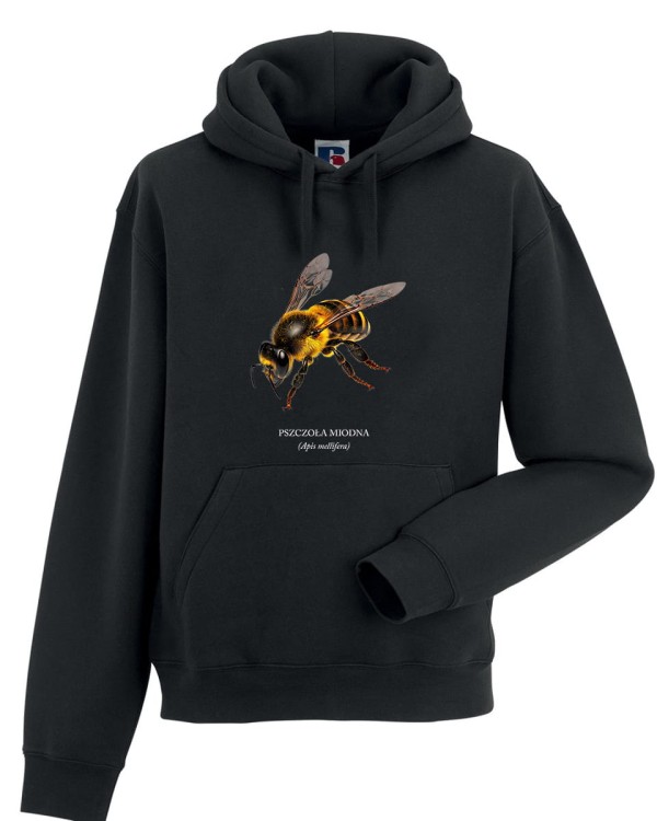Pszczoła miodna - Apis mellifera - Pszczoła - prezent dla entomologa - Prezent dla pszczelarza - Bluza