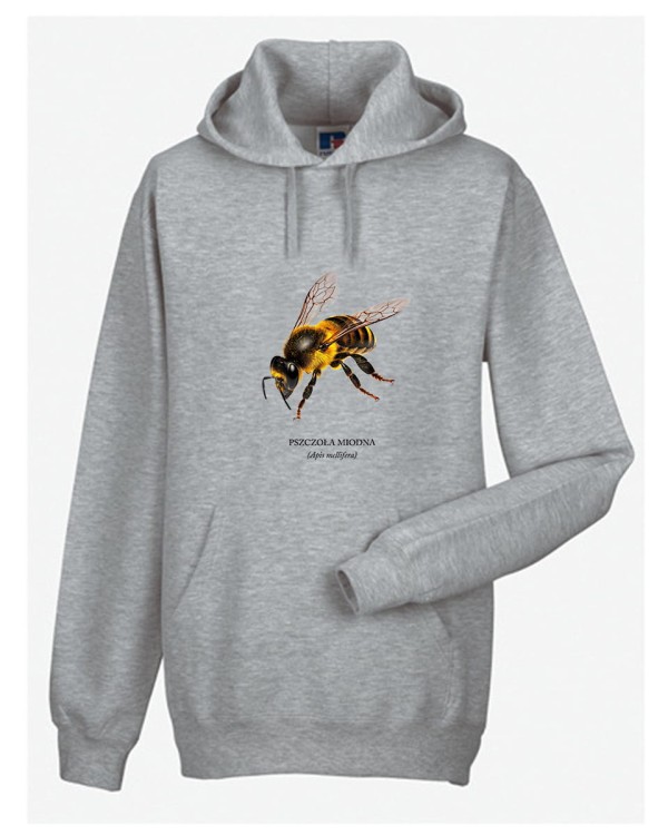 Pszczoła miodna - Apis mellifera - Pszczoła - prezent dla entomologa - Prezent dla pszczelarza - Bluza