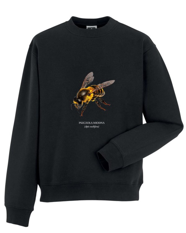 Pszczoła miodna - Apis mellifera - Pszczoła - prezent dla entomologa - Prezent dla pszczelarza - Bluza