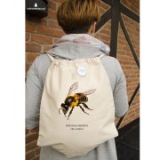 Pszczoła miodna - Apis mellifera - Pszczoła - prezent dla entomologa - Prezent dla pszczelarza - Bluza