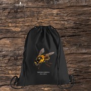 Pszczoła miodna - Apis mellifera - Pszczoła - prezent dla entomologa - Prezent dla pszczelarza - Bluza