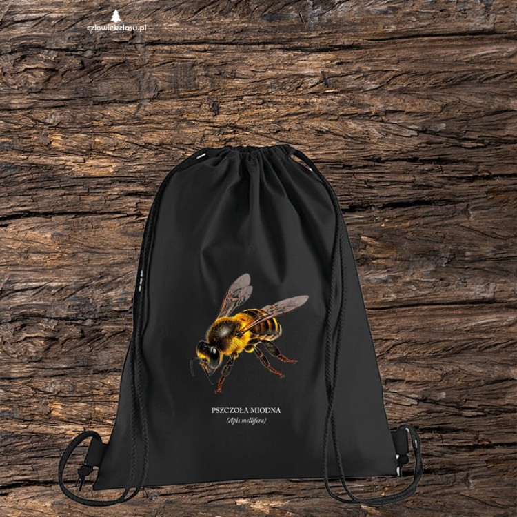 Pszczoła miodna - Apis mellifera - Pszczoła - prezent dla entomologa - Prezent dla pszczelarza - Bluza