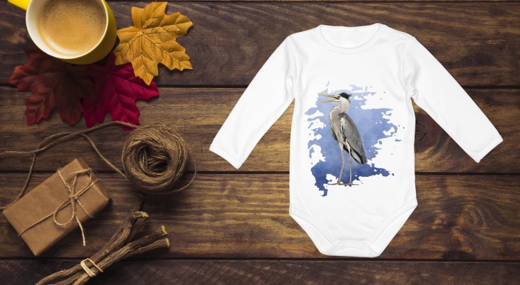 Czapla siwa - Ardea cinerea - prezent dla ornitologa - Body - Bodziak