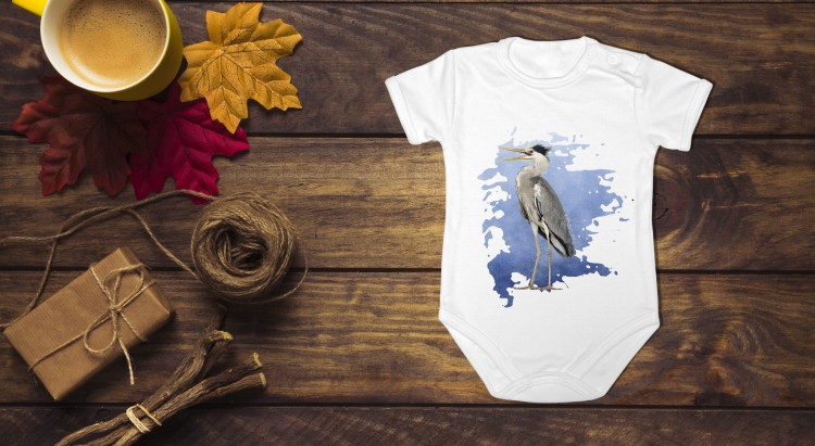 Czapla siwa - Ardea cinerea - prezent dla ornitologa - Body - Bodziak