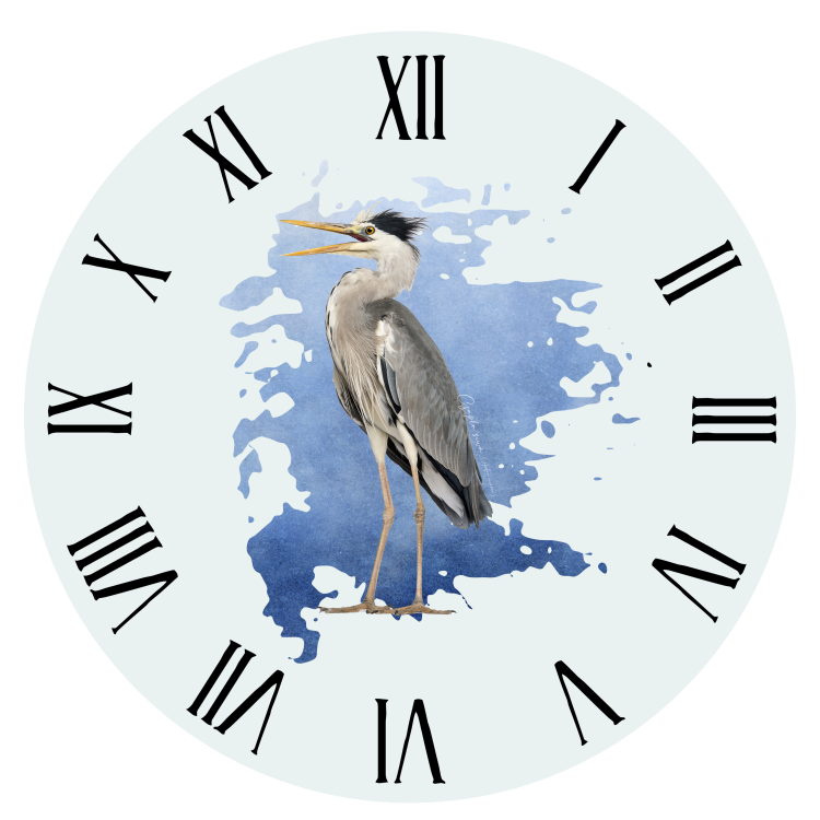 Czapla siwa - Ardea cinerea - prezent dla ornitologa - Zegar