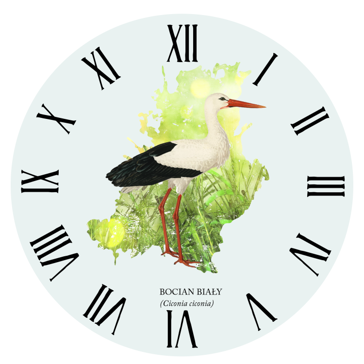 Bocian biały - Ciconia ciconia - prezent dla ornitologa - Zegar