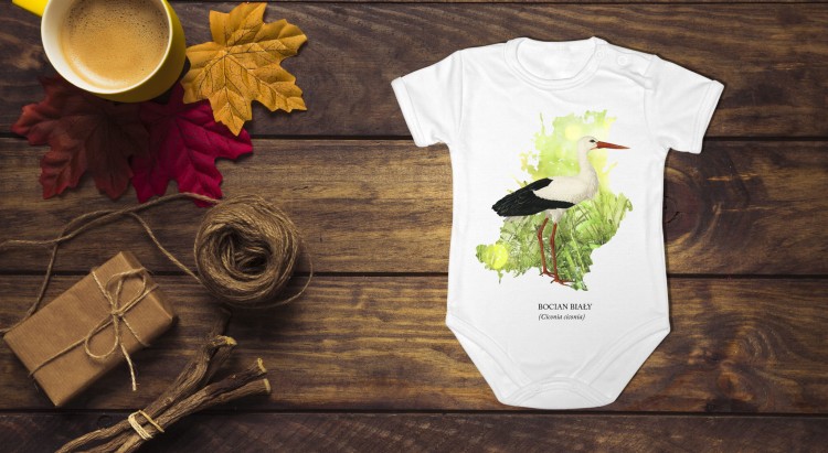 Bocian biały - Ciconia ciconia - prezent dla ornitologa - Bodziak - Body