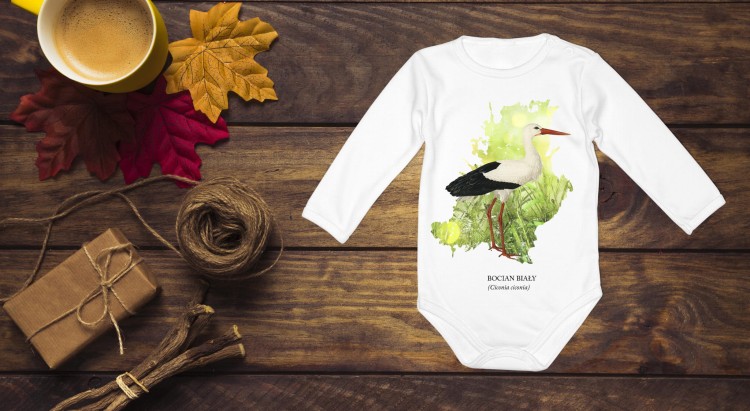 Bocian biały - Ciconia ciconia - prezent dla ornitologa - Bodziak - Body