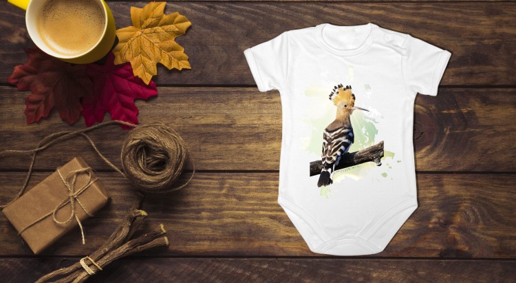 Dudek - Dudek zwyczajny - Upupa epops - prezent dla Ornitologa - Body - Bodziak