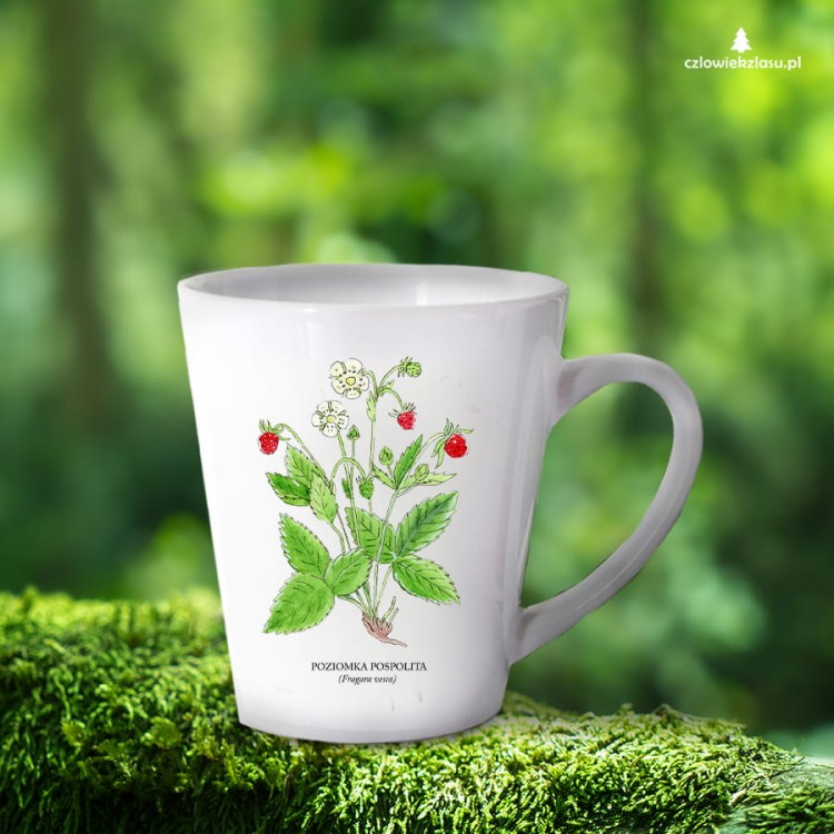 Poziomka pospolita - Fragaria vesca – prezent dla botanika, prezent dla florysty, miłośnika roślin - Kubek latte