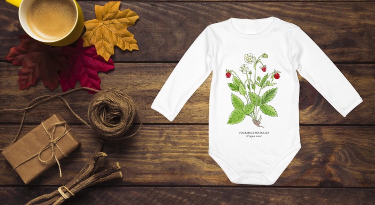 Poziomka pospolita - Fragaria vesca – prezent dla botanika, prezent dla florysty, miłośnika roślin - Body - Bodziak