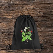 Poziomka pospolita - Fragaria vesca – prezent dla botanika, prezent dla florysty, miłośnika roślin - Worek-Plecak