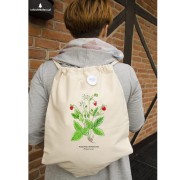 Poziomka pospolita - Fragaria vesca – prezent dla botanika, prezent dla florysty, miłośnika roślin - Worek-Plecak