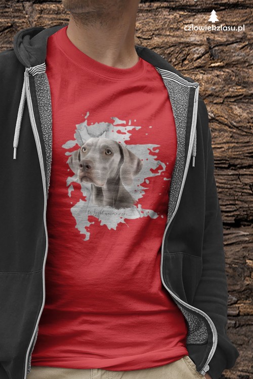 Wyżeł weimarski krótkowłosy - Pies - Wyżeł - Koszulka