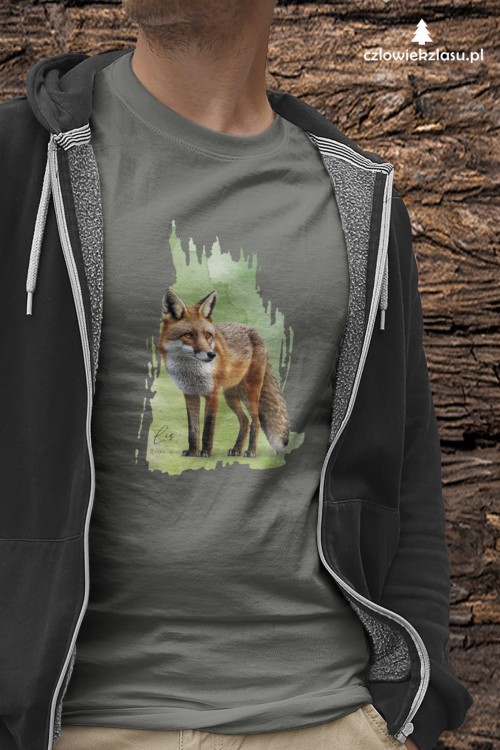 Lis rudy - Lis pospolity - Vulpes vulpes - Koszulka z lisem - Koszulka
