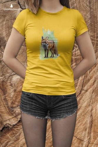 Lis rudy - Lis pospolity - Vulpes vulpes - Koszulka z lisem - Koszulka