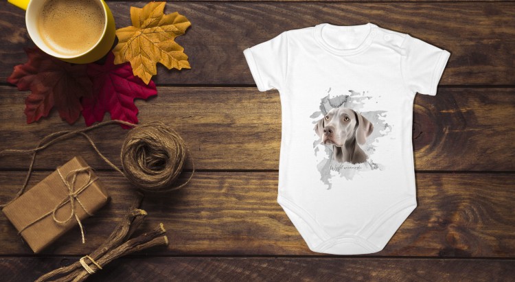 Wyżeł weimarski krótkowłosy - Pies - Wyżeł - Body - Bodziak