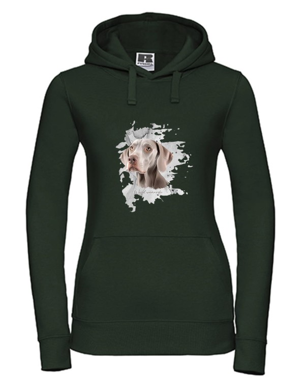 Wyżeł weimarski krótkowłosy - Pies - Wyżeł - Bluza