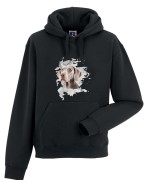 Wyżeł weimarski krótkowłosy - Pies - Wyżeł - Bluza