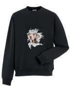 Wyżeł weimarski krótkowłosy - Pies - Wyżeł - Bluza