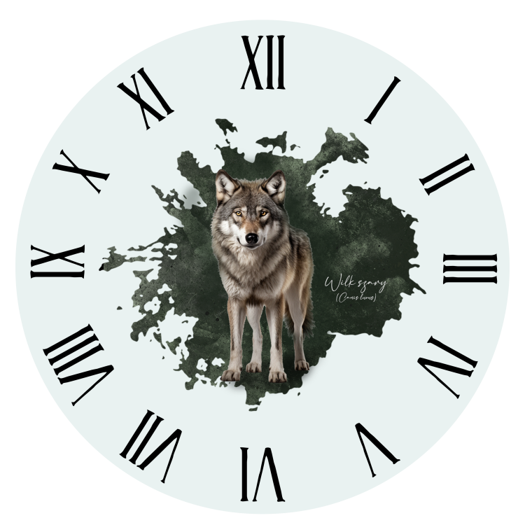 Wilk szary - Canis lupus – Prezent dla przyrodnika - Zegar