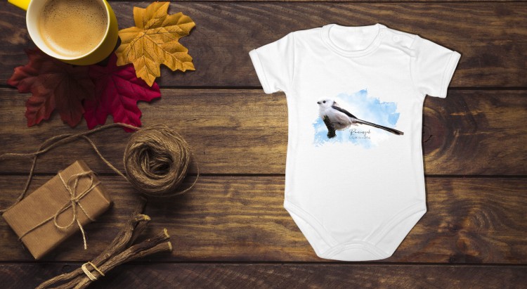 Raniuszek  - Aegithalos caudatus - Prezent dla ornitologa - Prezent dla przyrodnika - Body - Bodziak