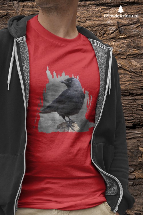 Kawka - Corvus monedula - Kawka zwyczajna - prezent dla ornitologa - Koszulka