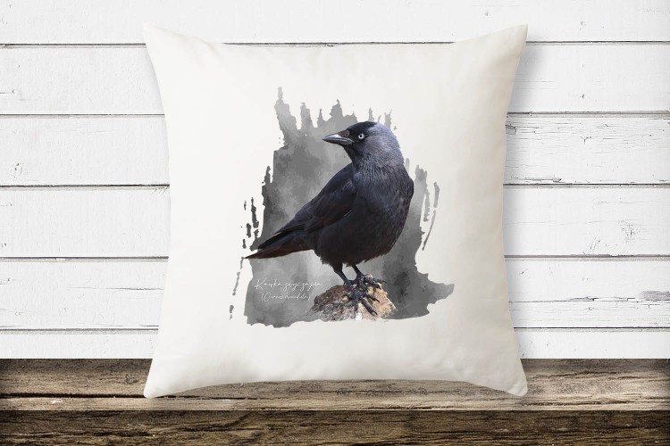 Kawka - Corvus monedula - Kawka zwyczajna - prezent dla ornitologa - Poduszka