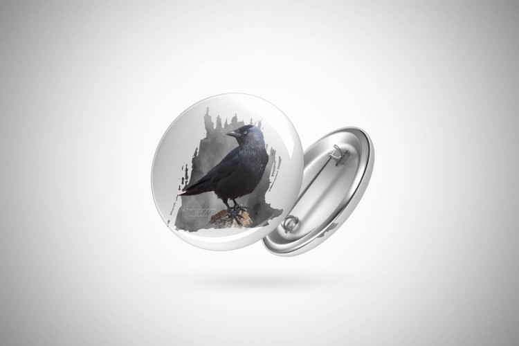 Kawka - Corvus monedula - Kawka zwyczajna - prezent dla ornitologa - Przypinka