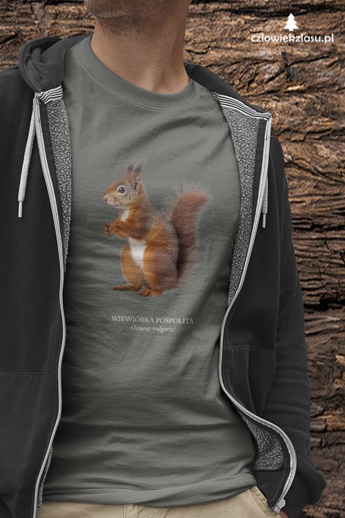 Wiewiórka pospolita - Sciurus vulgaris - Wiewiórka - Prezent dla przyrodnika - Prezent dla przyrodniczki - Koszulka