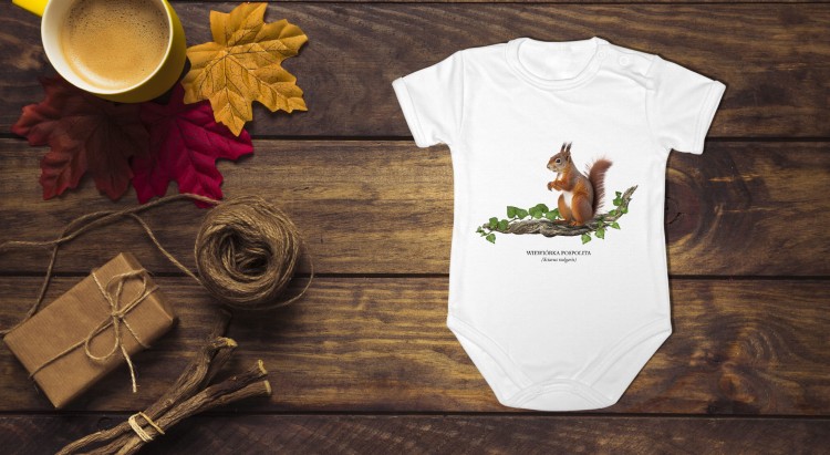 Wiewiórka pospolita - Sciurus vulgaris - Wiewiórka - Prezent dla przyrodnika - Prezent dla przyrodniczki - Body - Bodziak