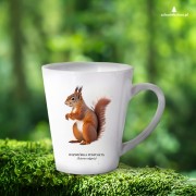 Wiewiórka pospolita - Sciurus vulgaris - Wiewiórka - Prezent dla przyrodnika - Prezent dla przyrodniczki -  Kubek latte