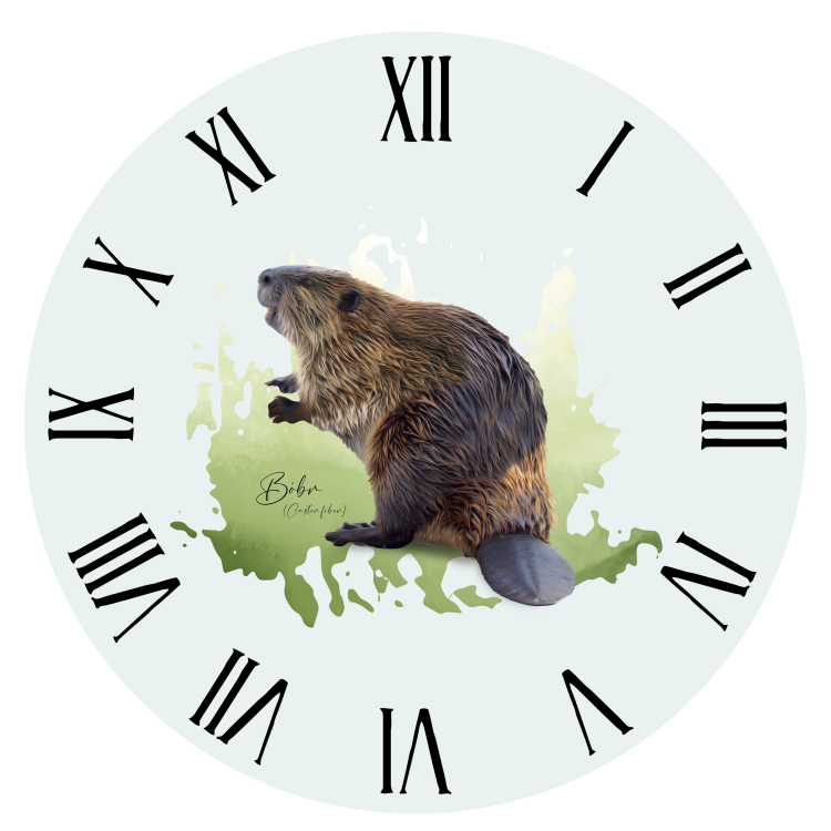 Bóbr europejski - Castor fiber - Prezent dla przyrodnika - Prezent dla przyrodniczki - Zegar