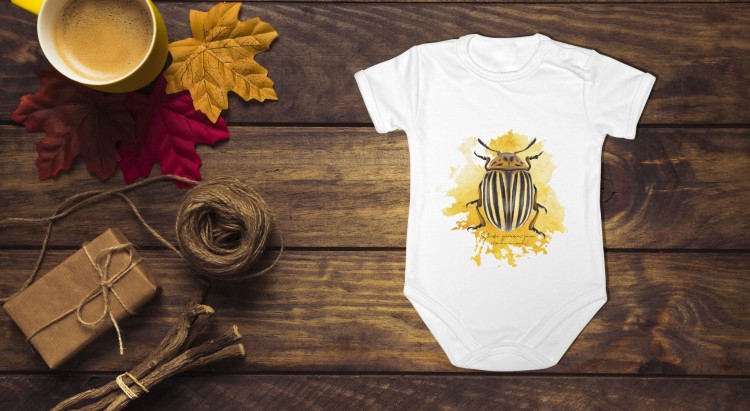 Stonka ziemniaczana - Leptinotarsa decemlineata - Prezent dla entomologa - Prezent dla przyrodnika - Body - Bodziak