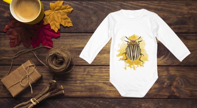 Stonka ziemniaczana - Leptinotarsa decemlineata - Prezent dla entomologa - Prezent dla przyrodnika - Body - Bodziak