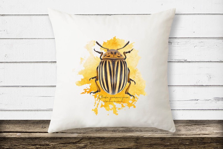 Stonka ziemniaczana - Leptinotarsa decemlineata - Prezent dla entomologa - Prezent dla przyrodnika - Poduszka