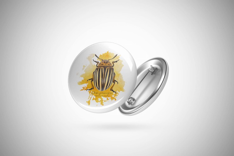 Stonka ziemniaczana - Leptinotarsa decemlineata - Prezent dla entomologa - Prezent dla przyrodnika - Przypinka