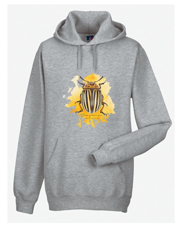 Stonka ziemniaczana - Leptinotarsa decemlineata - Prezent dla entomologa - Prezent dla przyrodnika - Bluza