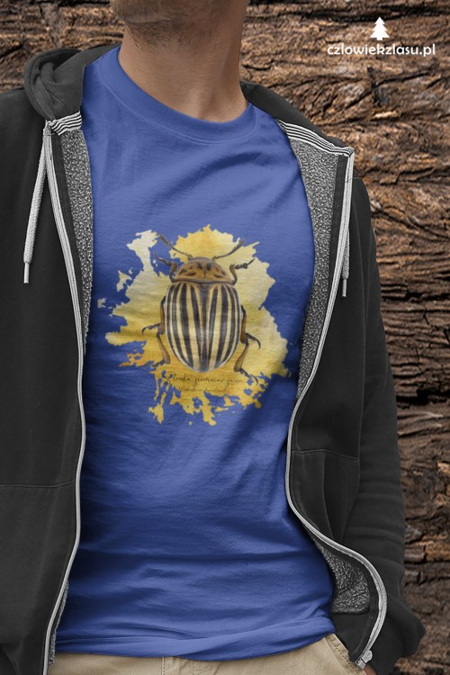 Stonka ziemniaczana - Leptinotarsa decemlineata - Prezent dla entomologa - Prezent dla przyrodnika - Koszulka