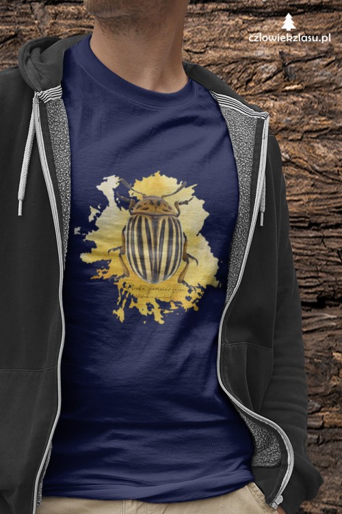 Stonka ziemniaczana - Leptinotarsa decemlineata - Prezent dla entomologa - Prezent dla przyrodnika - Koszulka